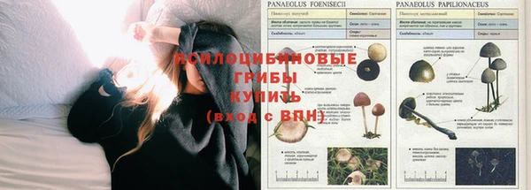винт Абаза