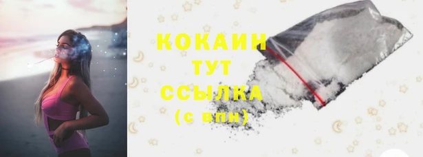 винт Абаза
