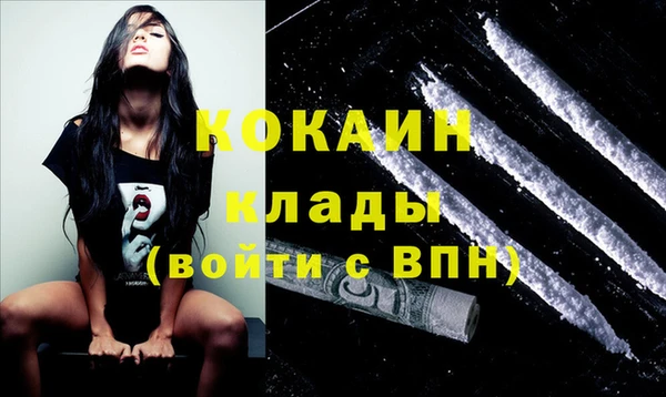 винт Абаза