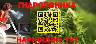спиды Пугачёв