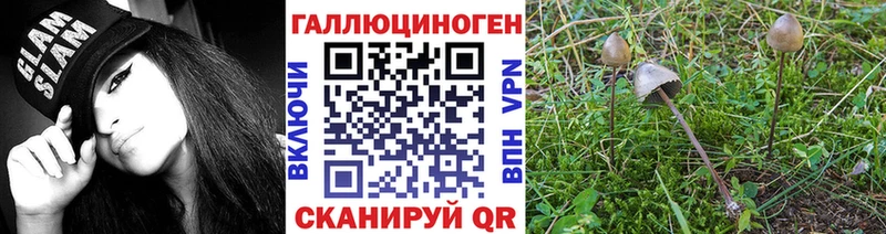купить  цена  Усть-Илимск  Псилоцибиновые грибы GOLDEN TEACHER 